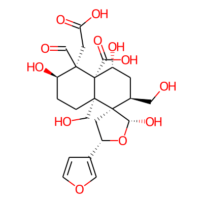 Musabalbisiane B