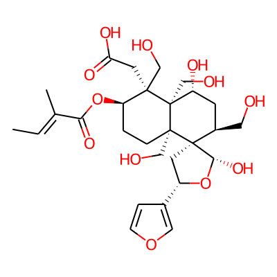 Musabalbisiane C