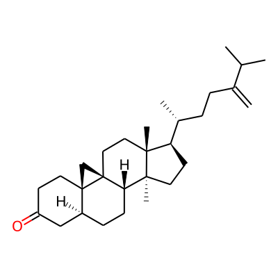 24-Methylenepollinastanone