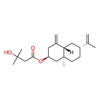 Jatamol B