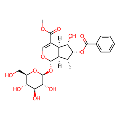 methyl (1S,4aS,5S,6R,7R,7aR)-6-benzoyloxy-5-hydroxy-7-methyl-1-[(2S,3R,4S,5S,6R)-3,4,5-trihydroxy-6-(hydroxymethyl)oxan-2-yl]oxy-1,4a,5,6,7,7a-hexahydrocyclopenta[c]pyran-4-carboxylate