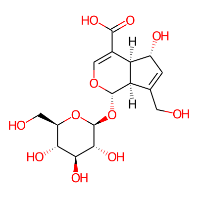 Scandoside