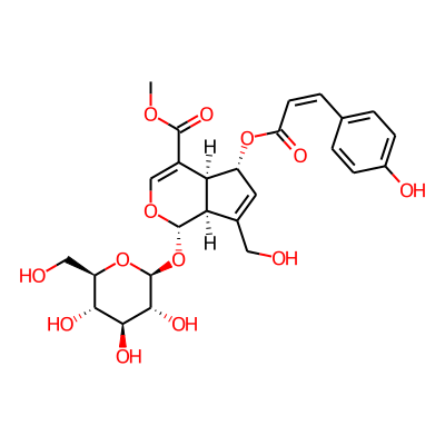 6-O-Z-pcoumaroyl scandoside methyl ester