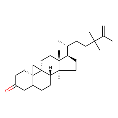 Cyclootochilone