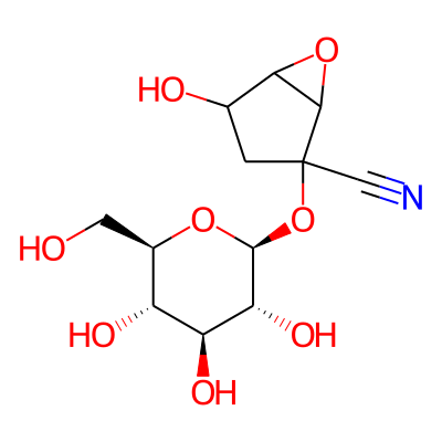 Passisuberosin
