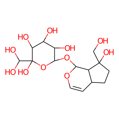 Paulownioside