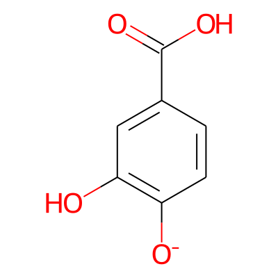 3,4-Dihydroxybenzoate