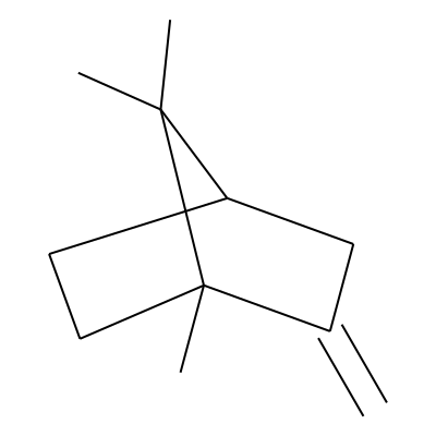 2-Methylenebornane