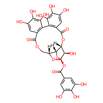 Isocorilagin