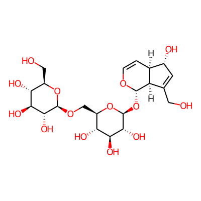 6'-O-Glucosylaucubin