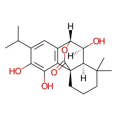 Epiisorosmanol