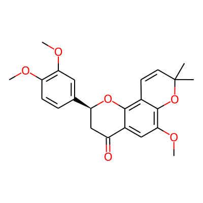 Ponganone IV