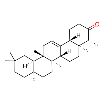 Putrone