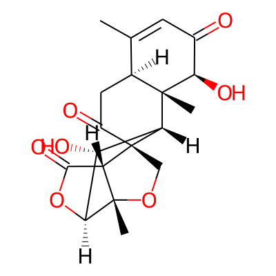 Samaderine B