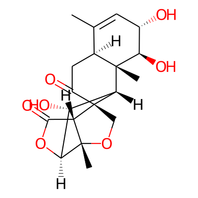 samaderine C