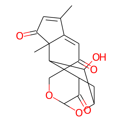 Samadera indica B619376K035
