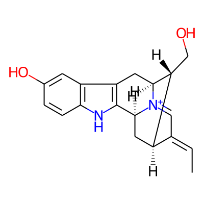 Raupine