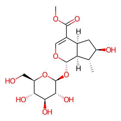 7-Epiloganin