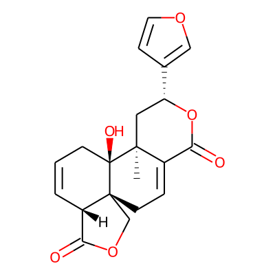 Salviacoccin