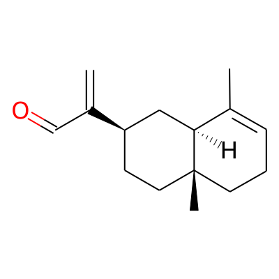 alpha-Costal