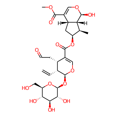 Sylvestroside III