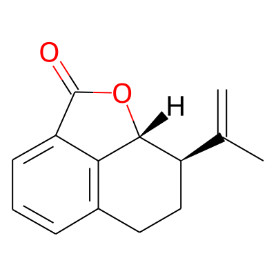 Platyphyllide