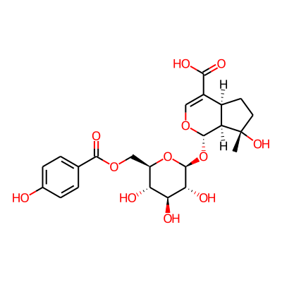 6'-O-p-Hydroxybenzoylmussaenosidic acid