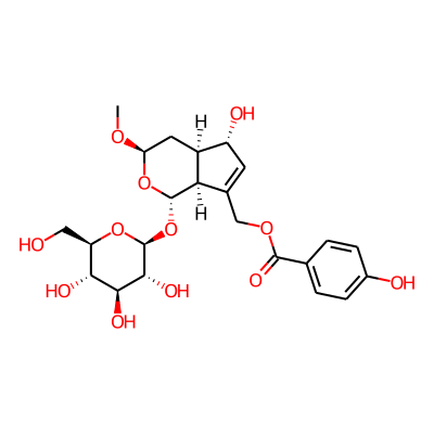 1alpha-(beta-D-Glucopyranosyloxy)-7-[(4-hydroxybenzoyl)oxymethyl]-3beta-methoxy-1,3,4,4aalpha,5,7aalpha-hexahydrocyclopenta[c]pyran-5alpha-ol