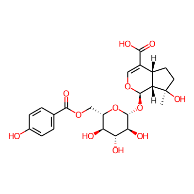 6'-(p-Hydroxybenzoyl)mussaenosidic acid