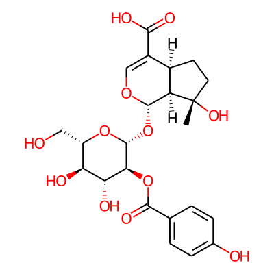 (1S,4aS,7S,7aS)-1-[(2R,3S,4R,5R,6S)-4,5-dihydroxy-3-(4-hydroxybenzoyl)oxy-6-(hydroxymethyl)tetrahydropyran-2-yl]oxy-7-hydroxy-7-methyl-4a,5,6,7a-tetrahydro-1H-cyclopenta[c]pyran-4-carboxylic acid