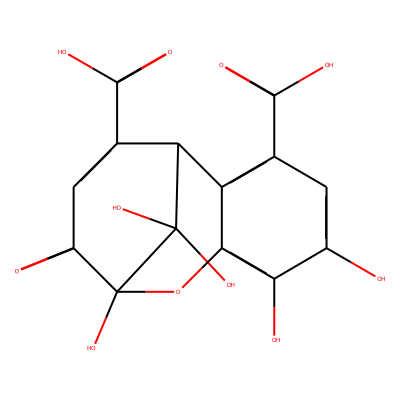 Brevilagin 1