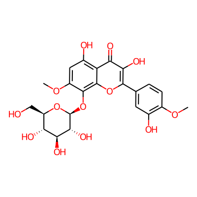 Tambuletin