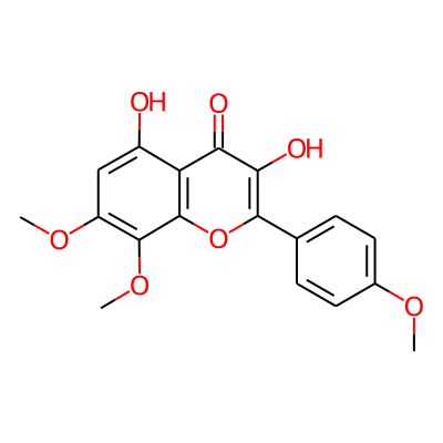 Tambulin