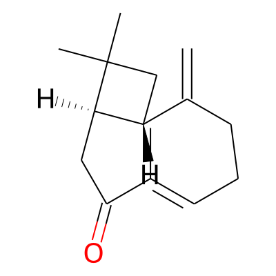 Buddledin C
