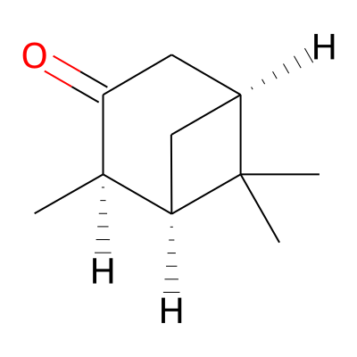 cis-Pinocamphone