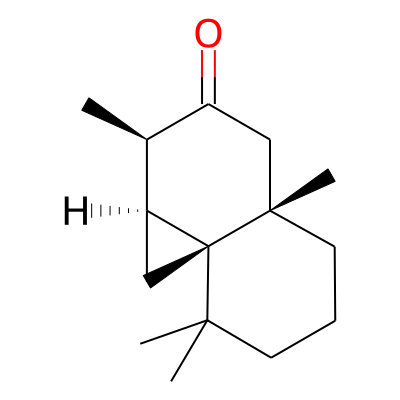 3-iso-Thujopsanone