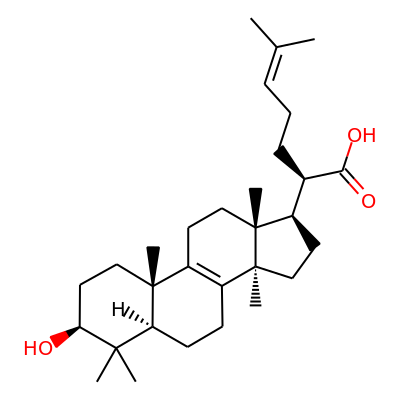 Trametenolic acid B