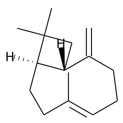 (E)-beta-caryophyllene