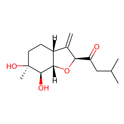 Cheimonophyllon E