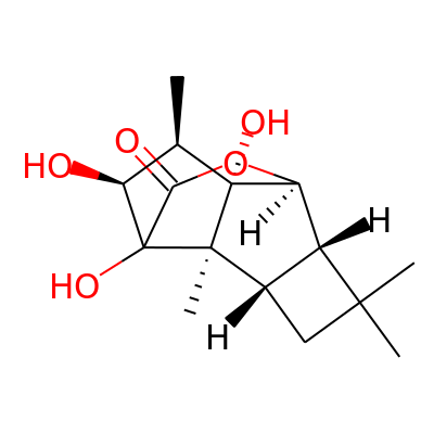 Fascicularone I