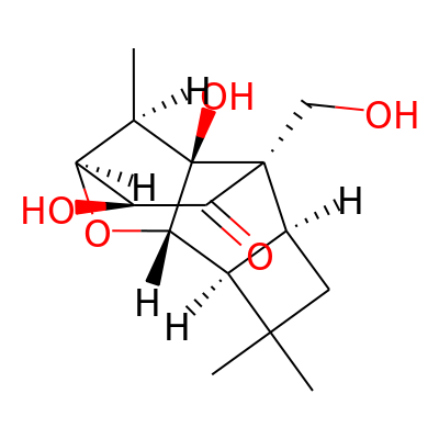 Fascicularone K