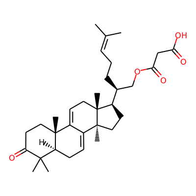 Fomitopsic acid B
