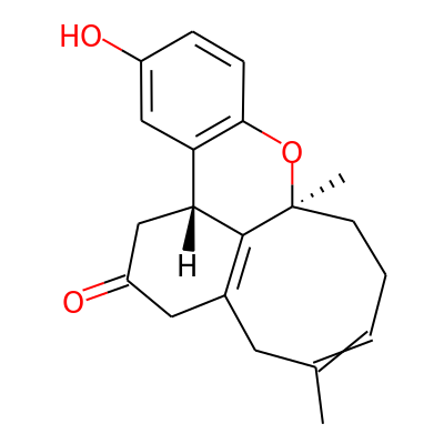 Ganocin D