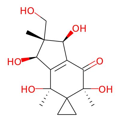 Neoilludin B