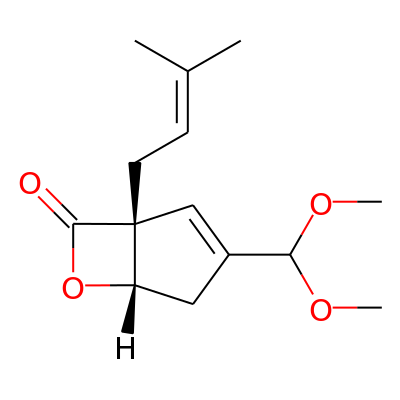 Ostalactone B