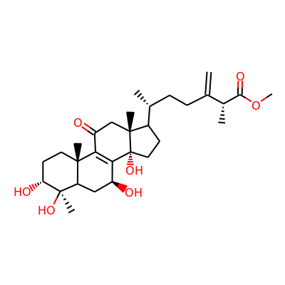 (25R)-methyl antcinate K