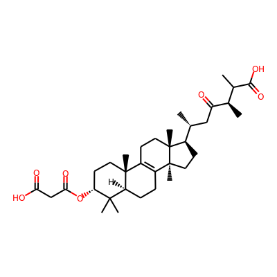 3a-Carboxyacetoxy-24-methyl-23-oxolanost-8-en-26-oic acid (carboxyacetylquercinic acid)