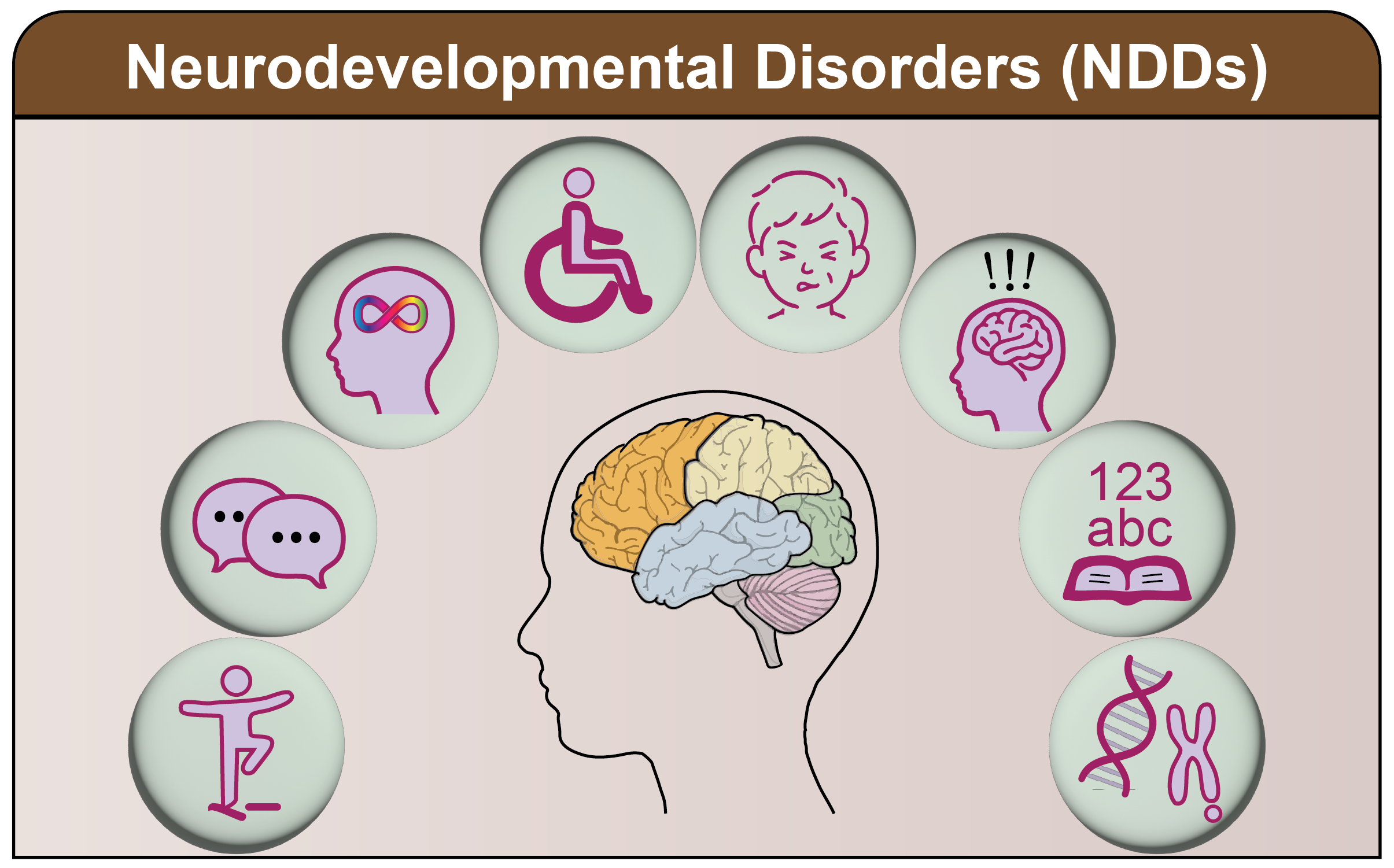 Neurodevelopmental Disorders (NDDs)