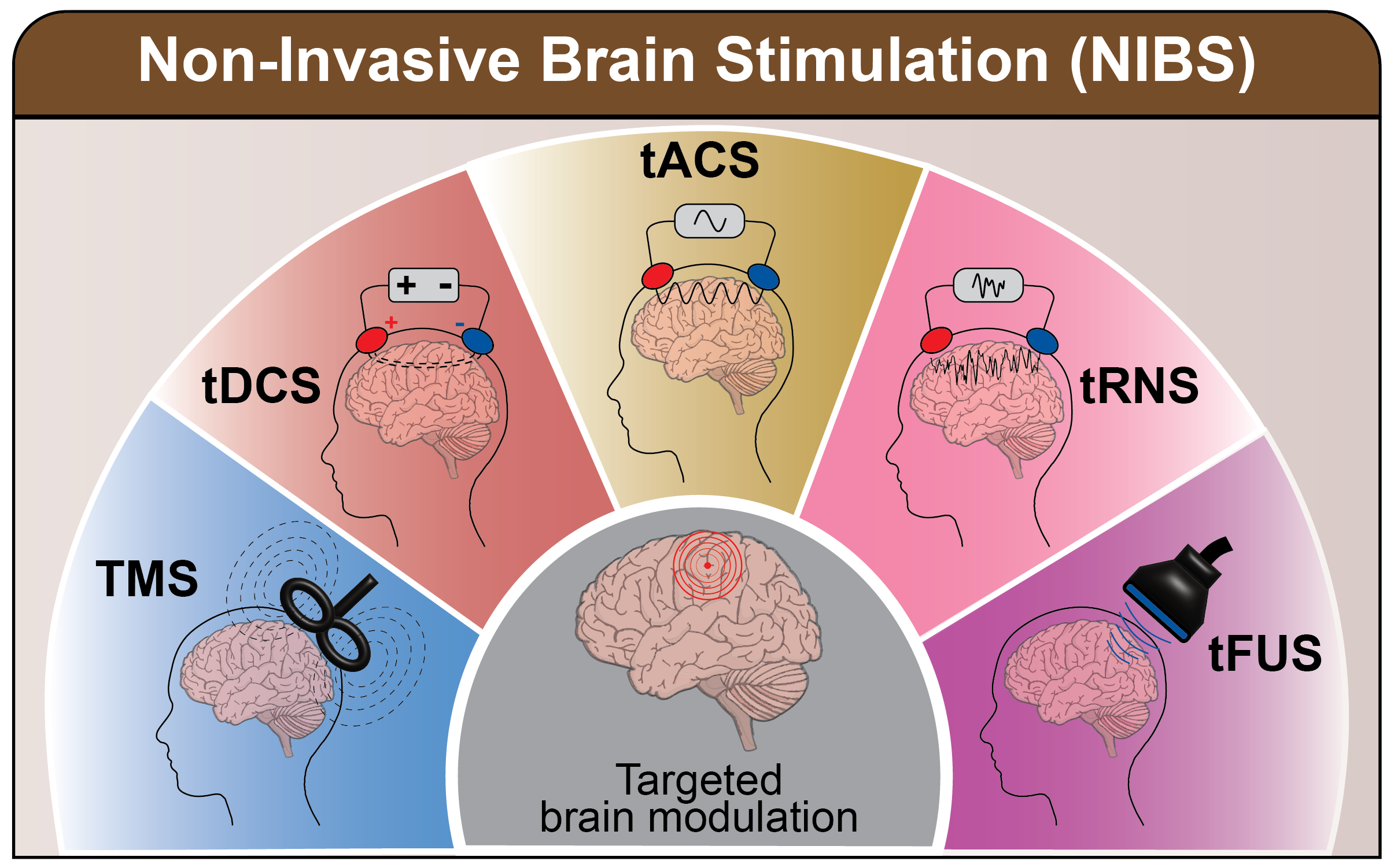 Non-Invasive Brain Stimulation (NIBS) Modalities