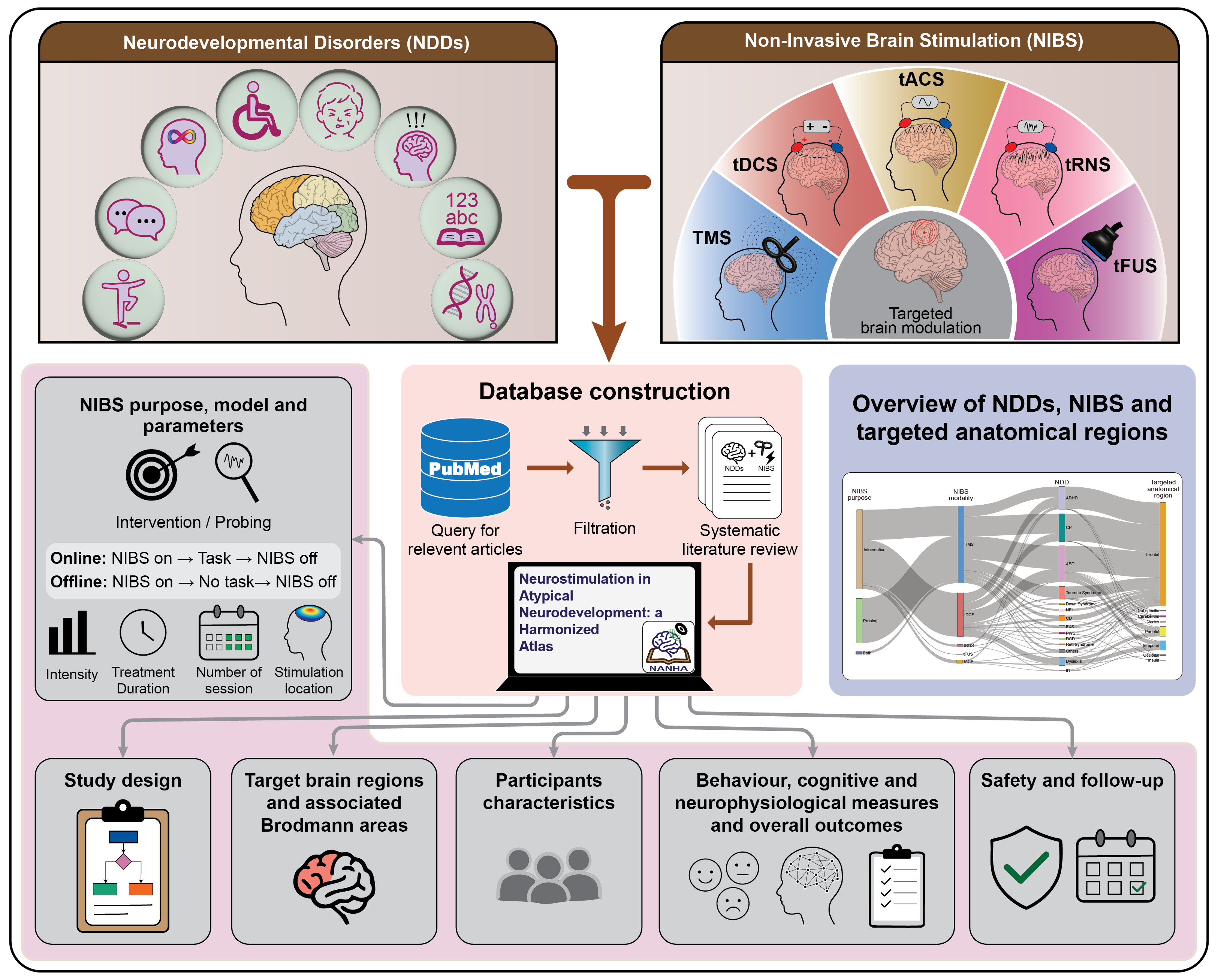 Non-Invasive Brain Stimulation (NIBS) Modalities in NDDs Schematic